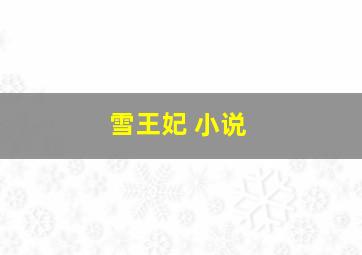 雪王妃 小说